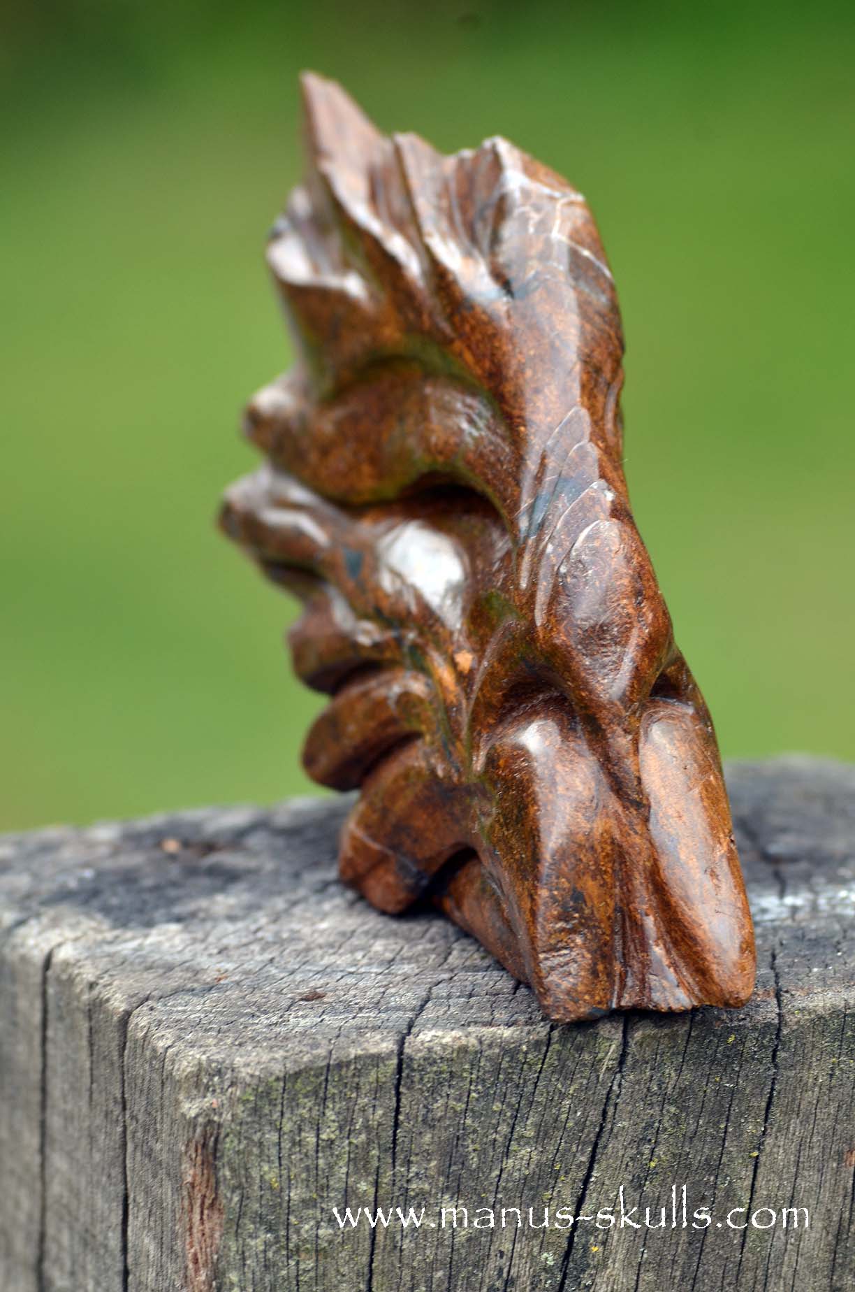 Bronzite Dragon