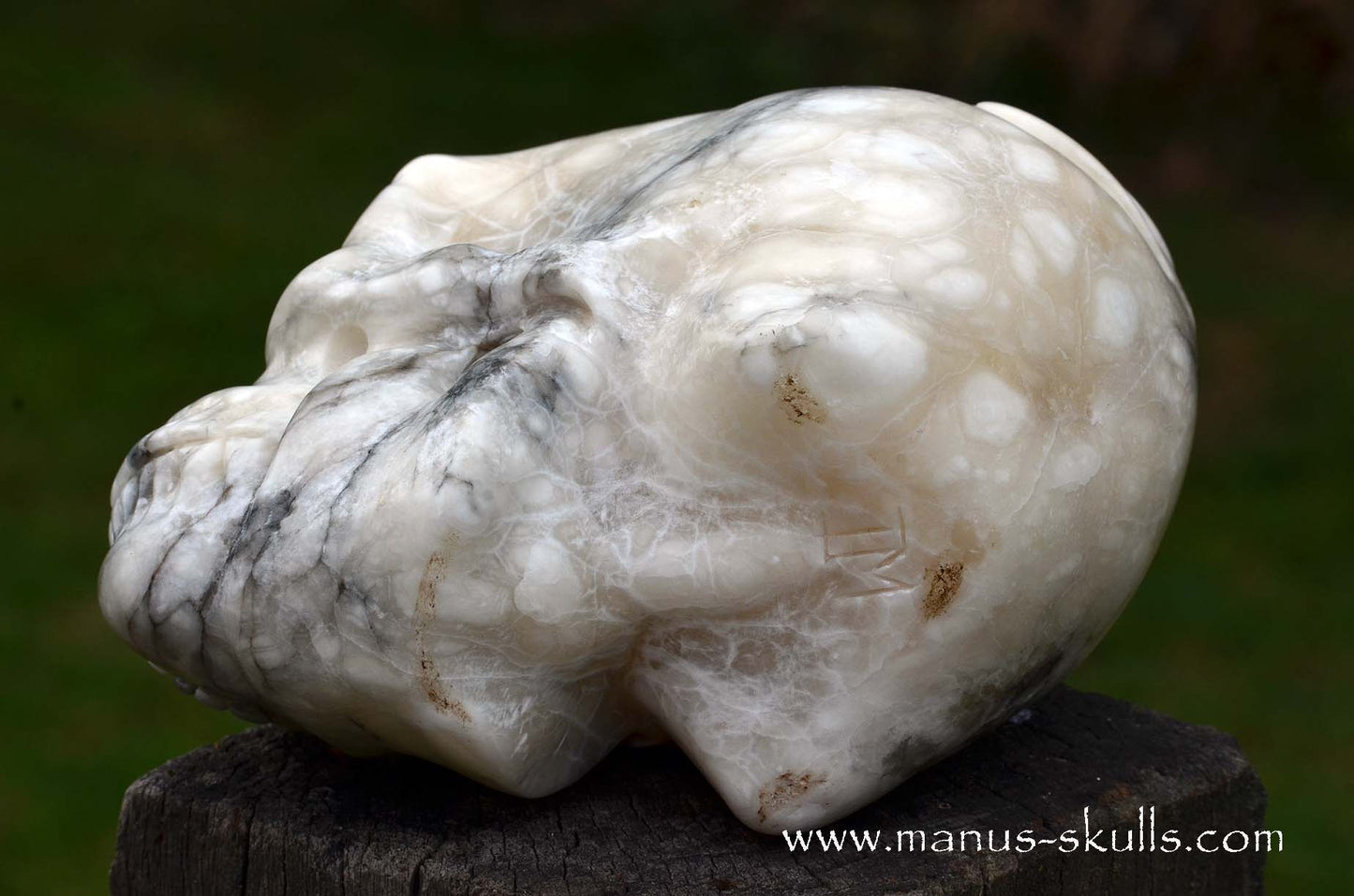Alabaster Skull with carved Scarab Beetle ....