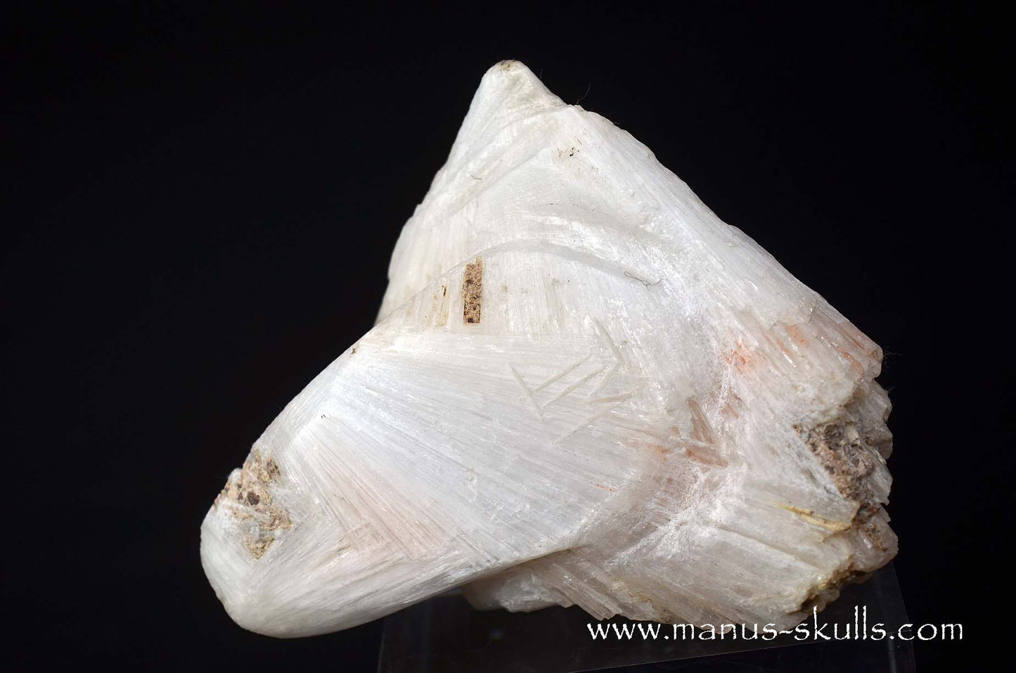 Scolecite Evolian Skull #01
