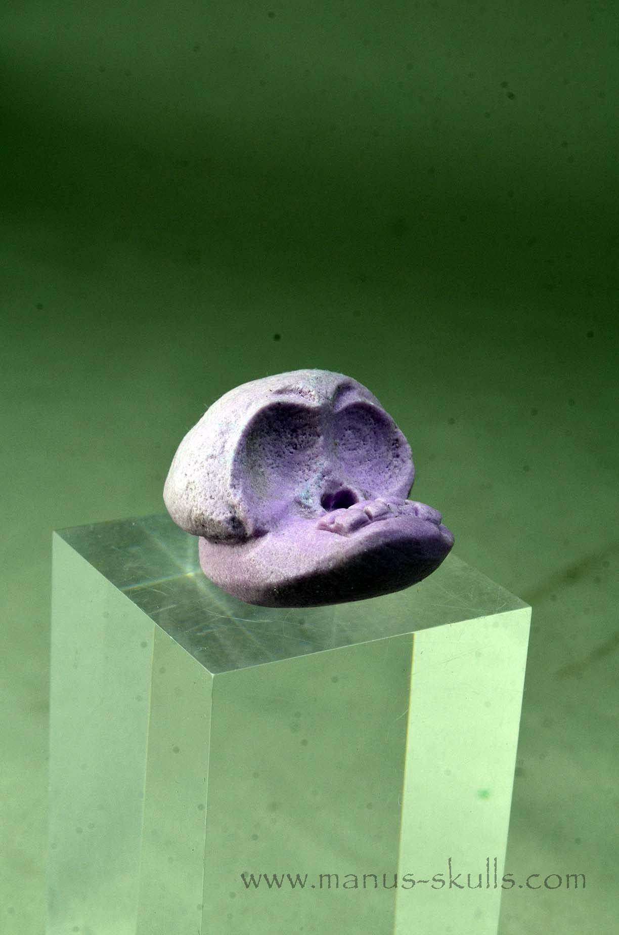 Phosphosiderite Evolian Skull #02