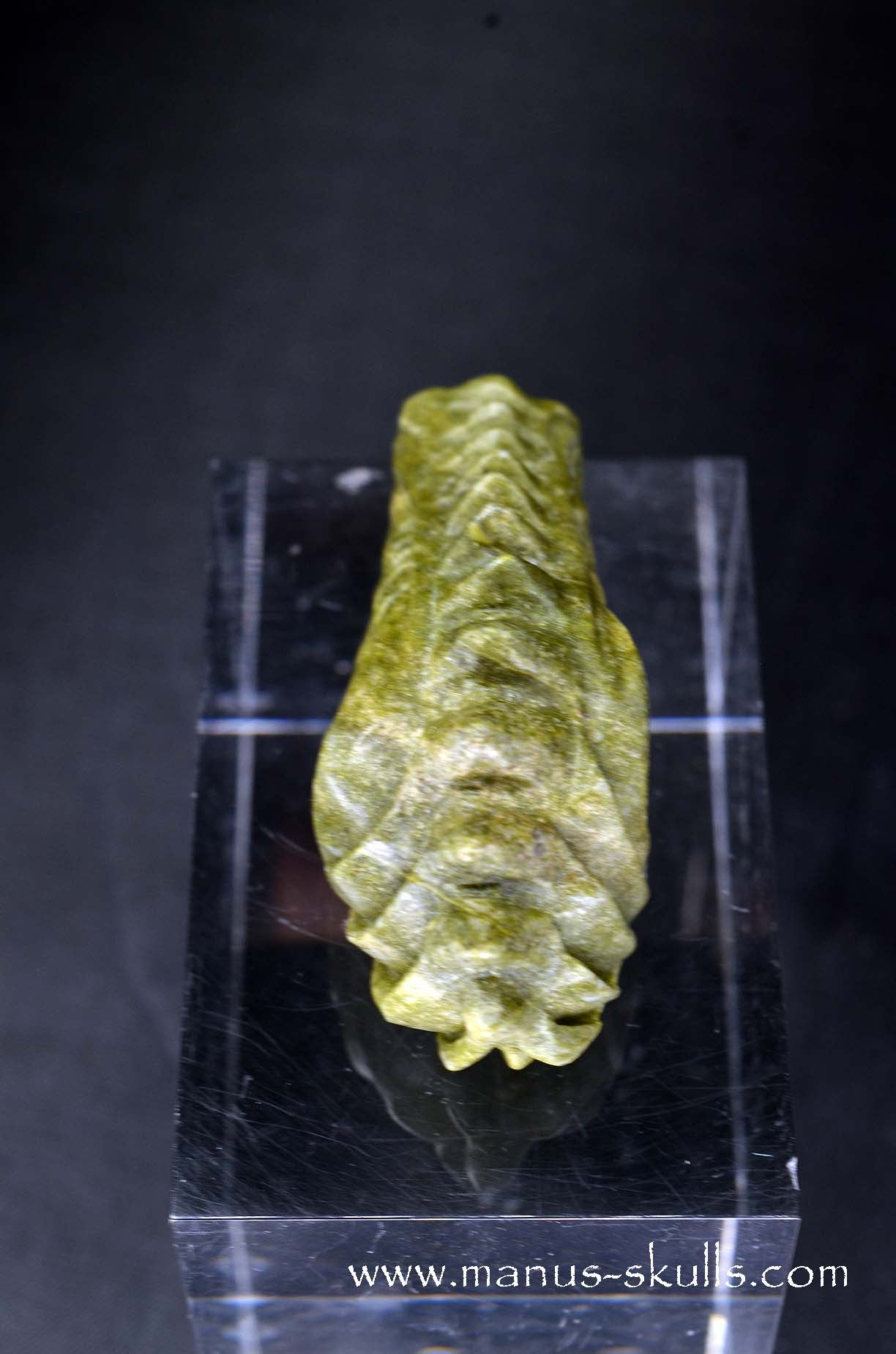 Greenlandite Dragon