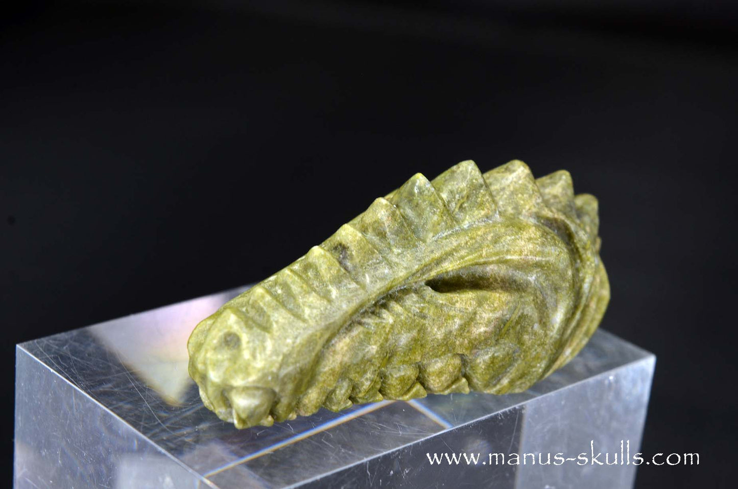 Greenlandite Dragon