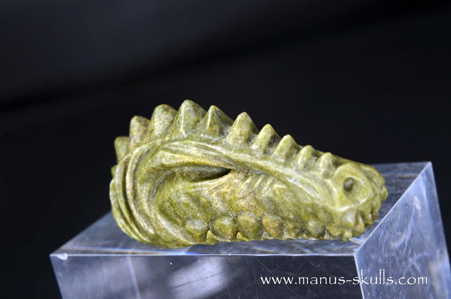 Greenlandite Dragon