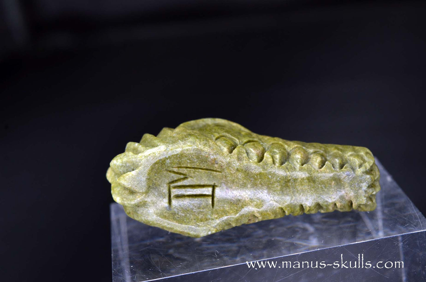 Greenlandite Dragon