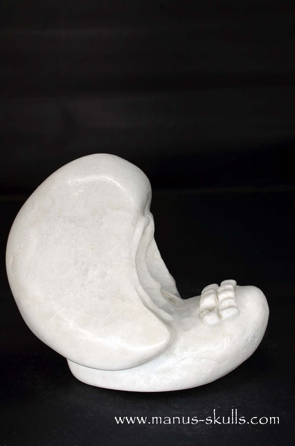 White Steatite Evolian #09