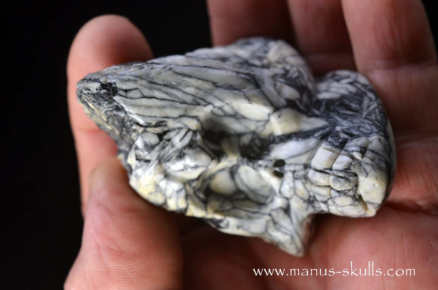 Austrian Pinolith Evolian #05