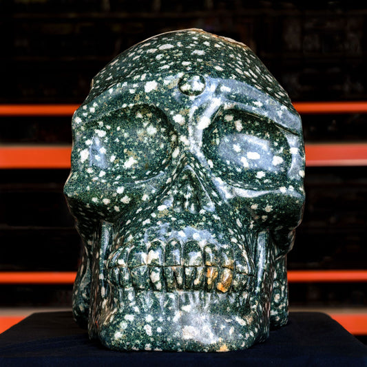 The Largest PRESELI BLUESTONE Skull in the world ...