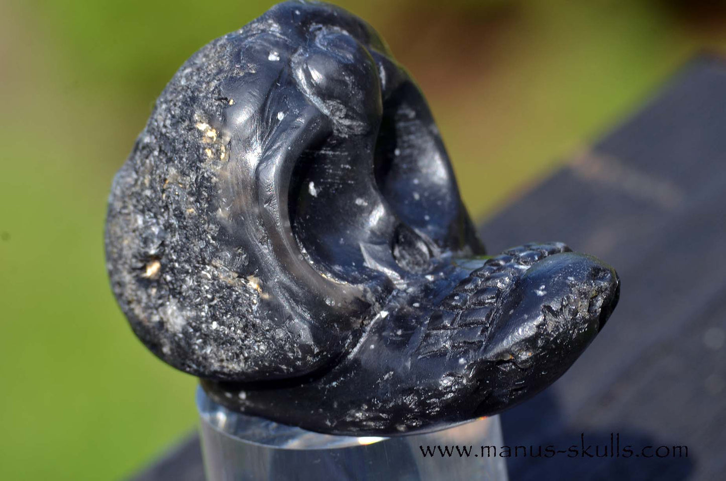 Agni Manitite Evolian #02
