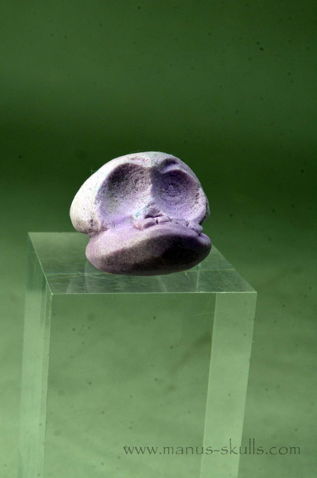 Phosphosiderite Evolian Skull #02