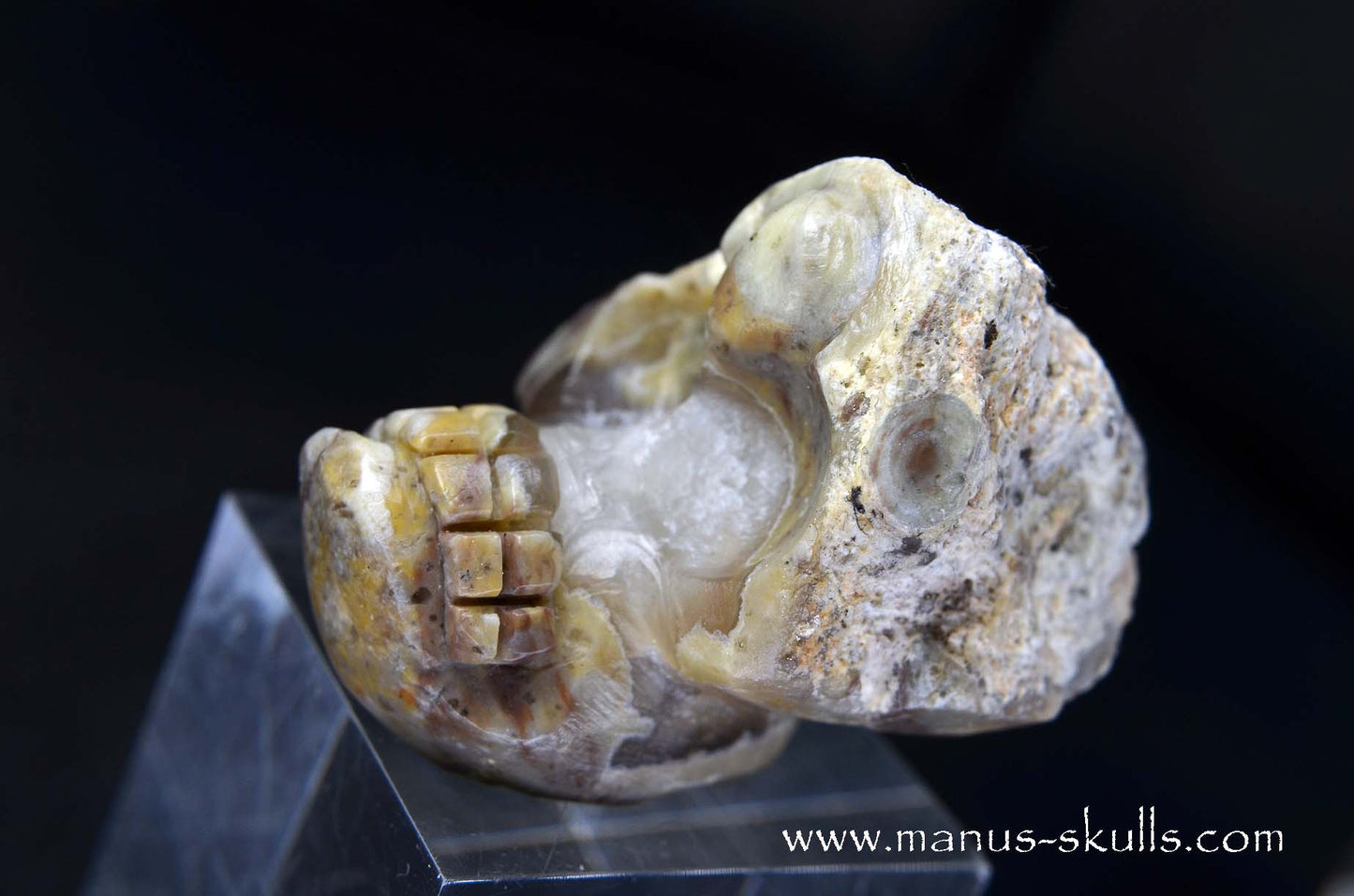 TNT-bed Thunderegg Evolian #02
