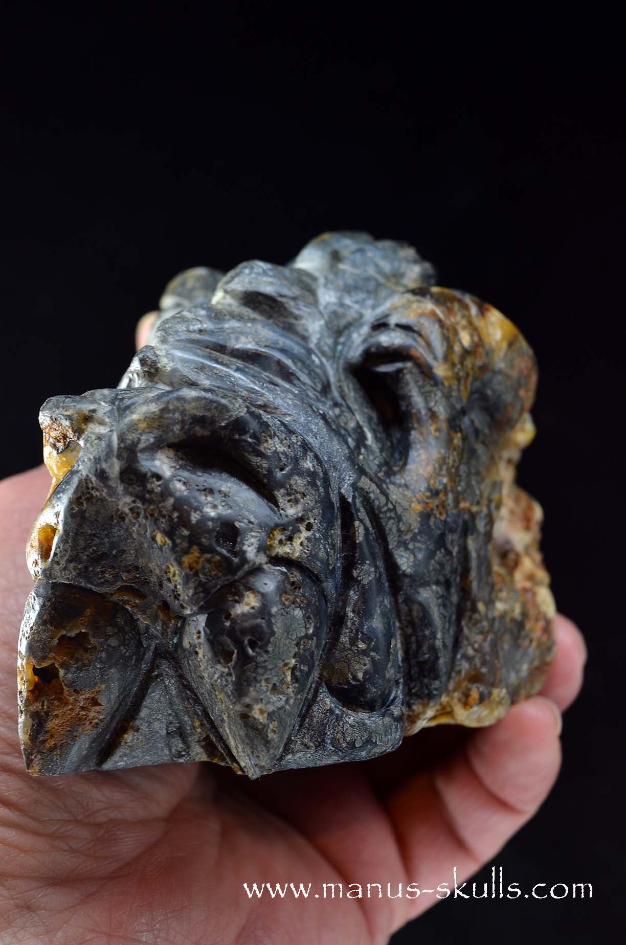Rare MARCASITE ~ Pyrite Dragon