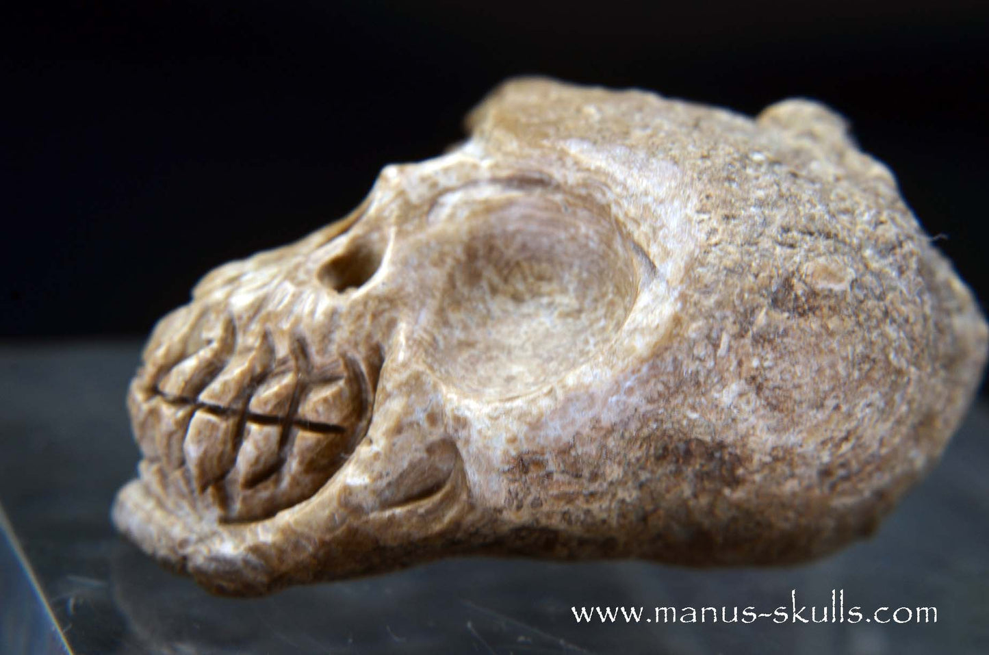 Aragonite Nodul Skull