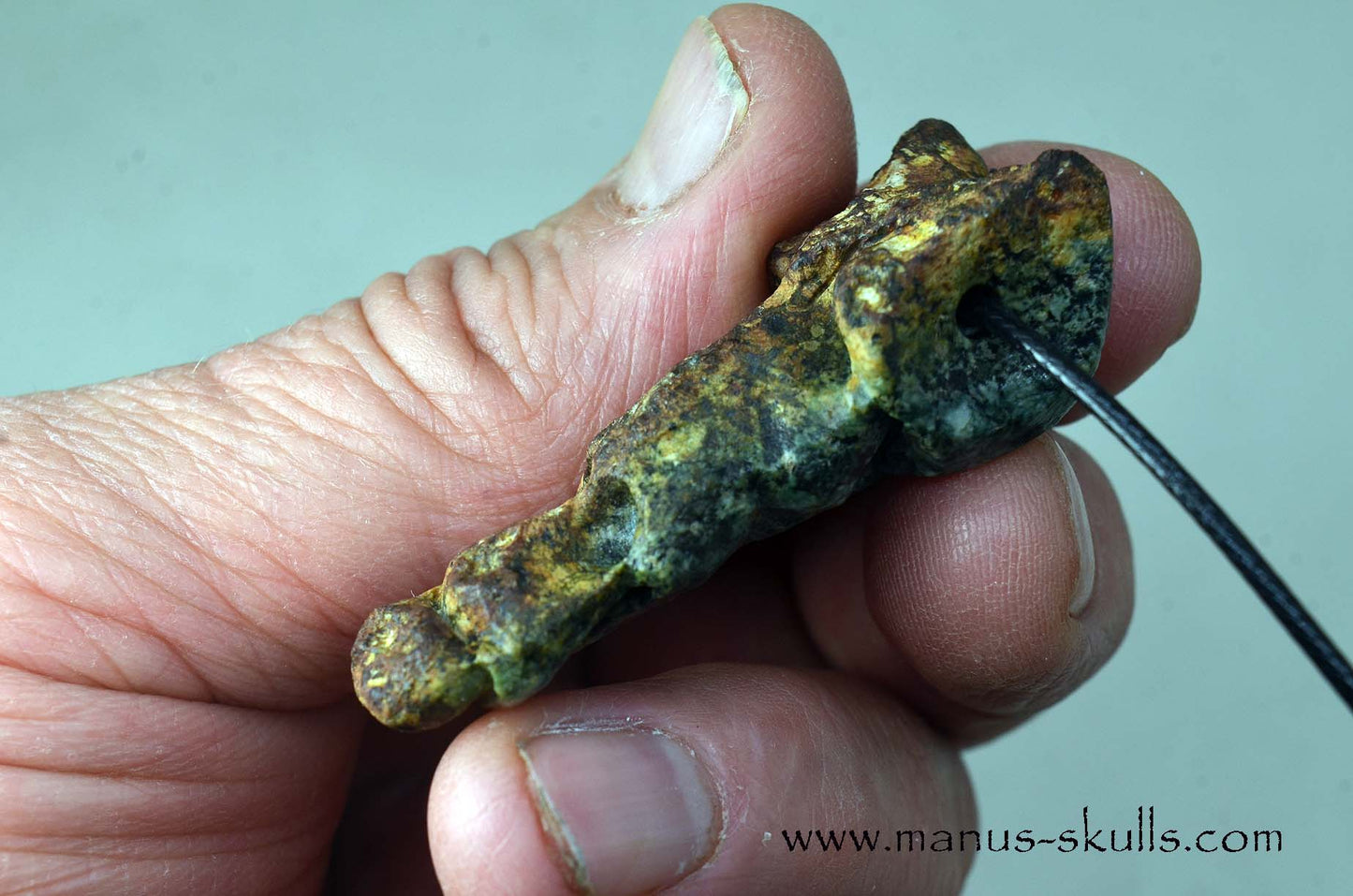 Double headed Preseli Bluestone Pendant
