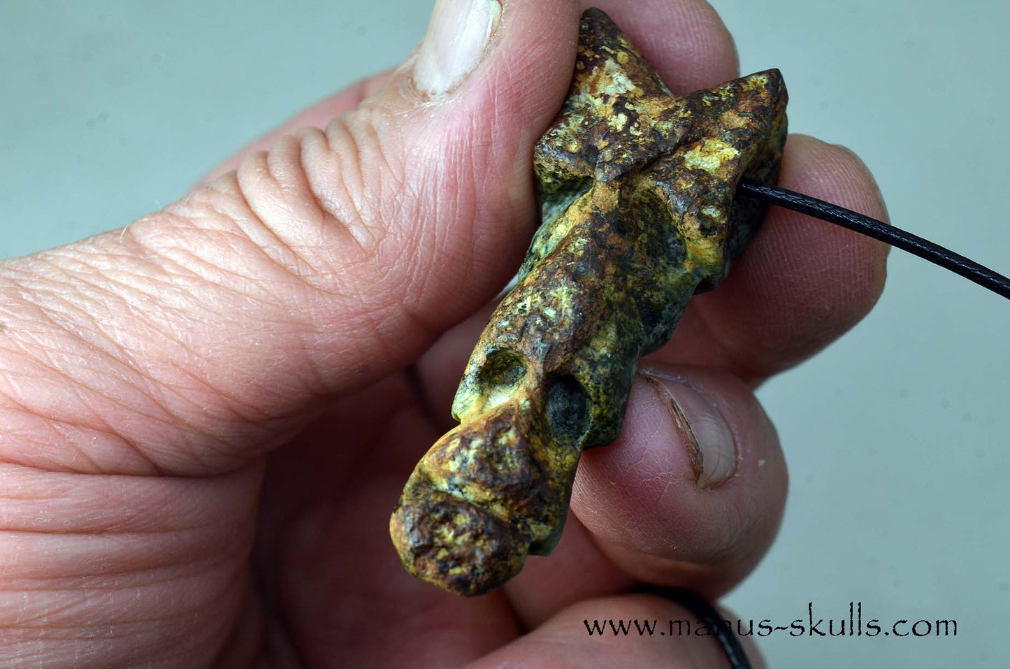Double headed Preseli Bluestone Pendant
