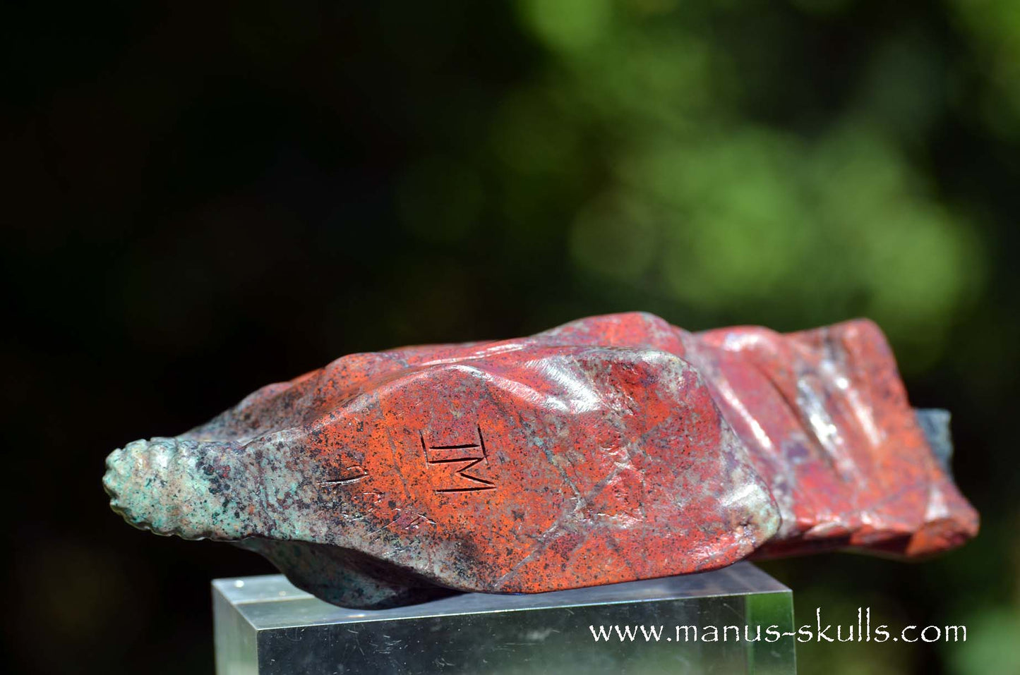 Special! .... Large SONORA SUNRISE Dragon ....