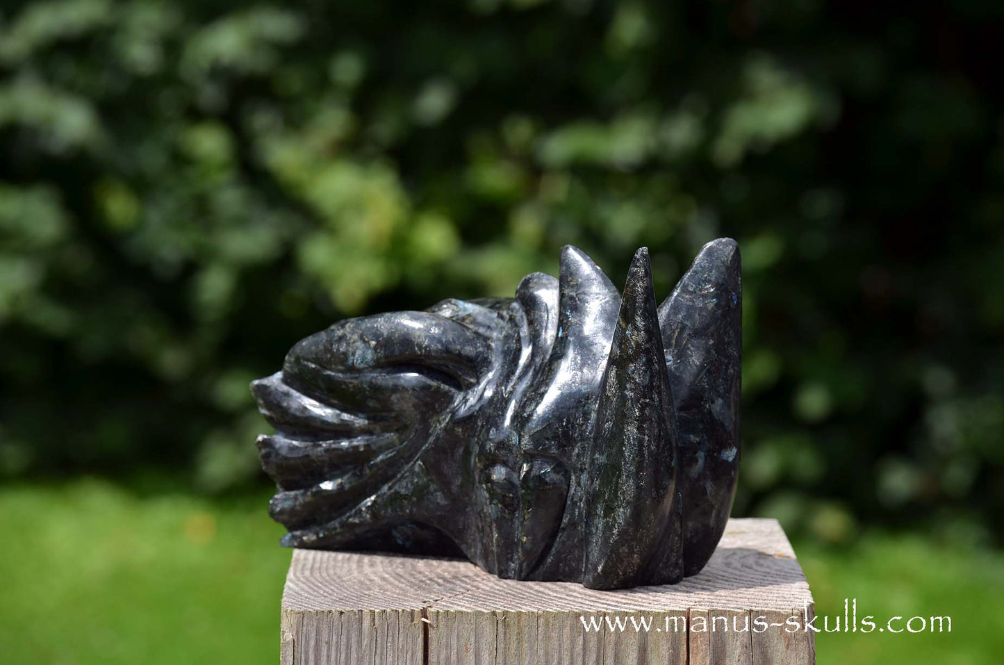 Large Larvikite Dragon
