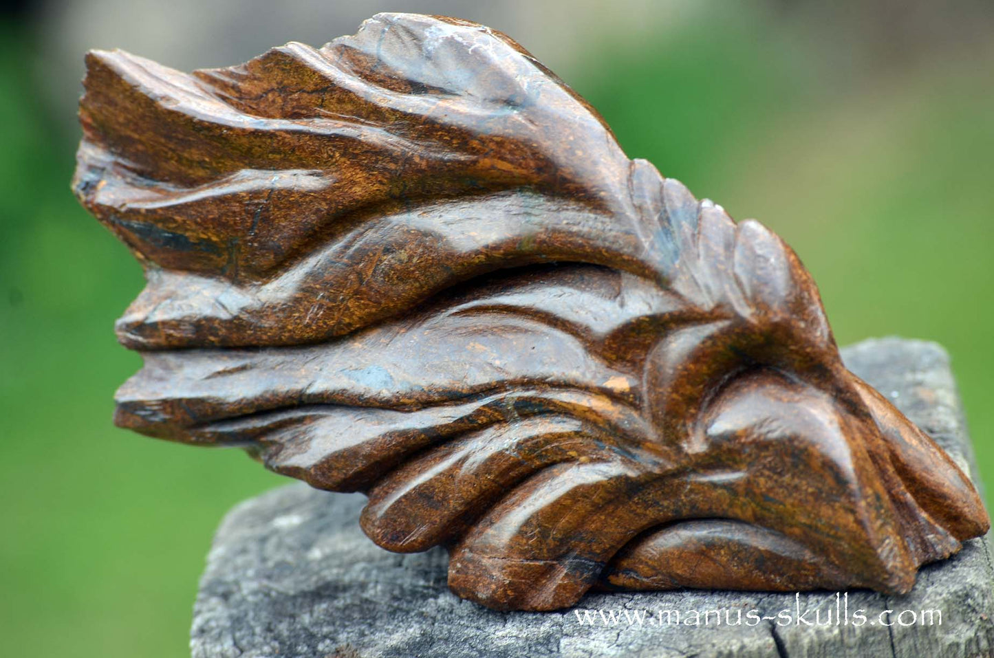 Bronzite Dragon