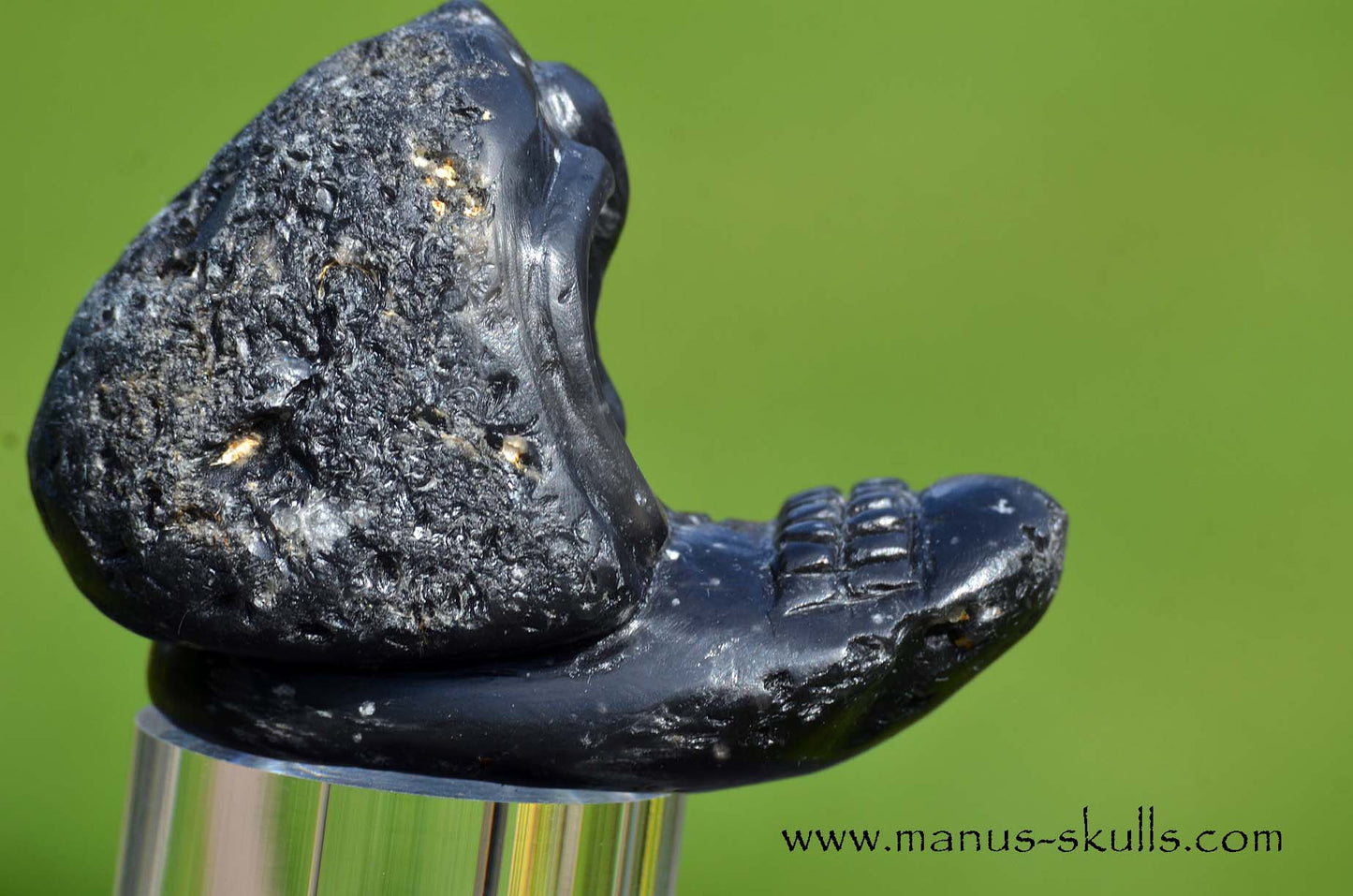 Agni Manitite Evolian #02