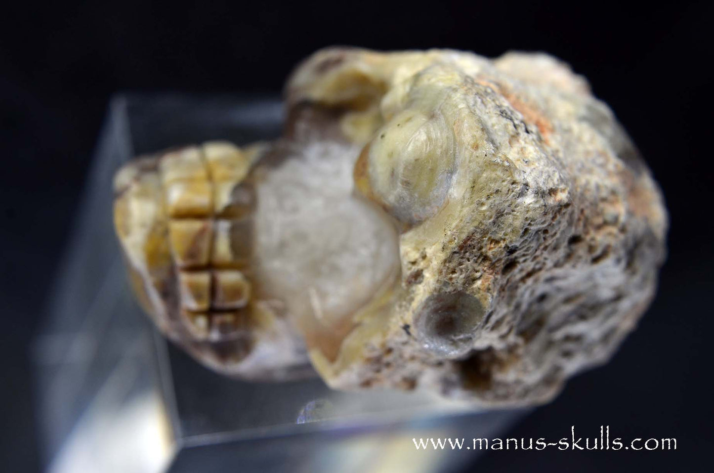 TNT-bed Thunderegg Evolian #02