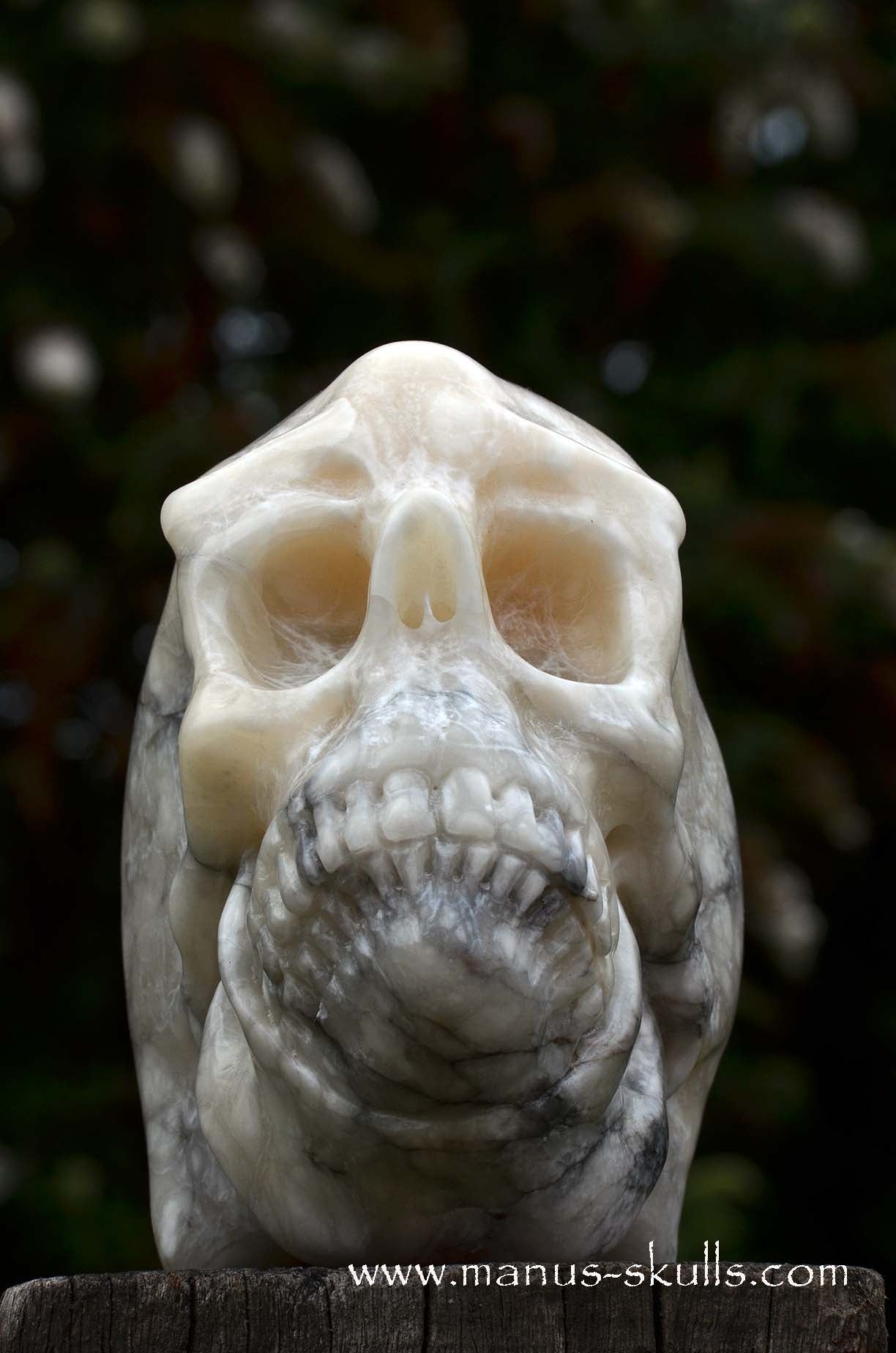 Alabaster Skull with carved Scarab Beetle ....