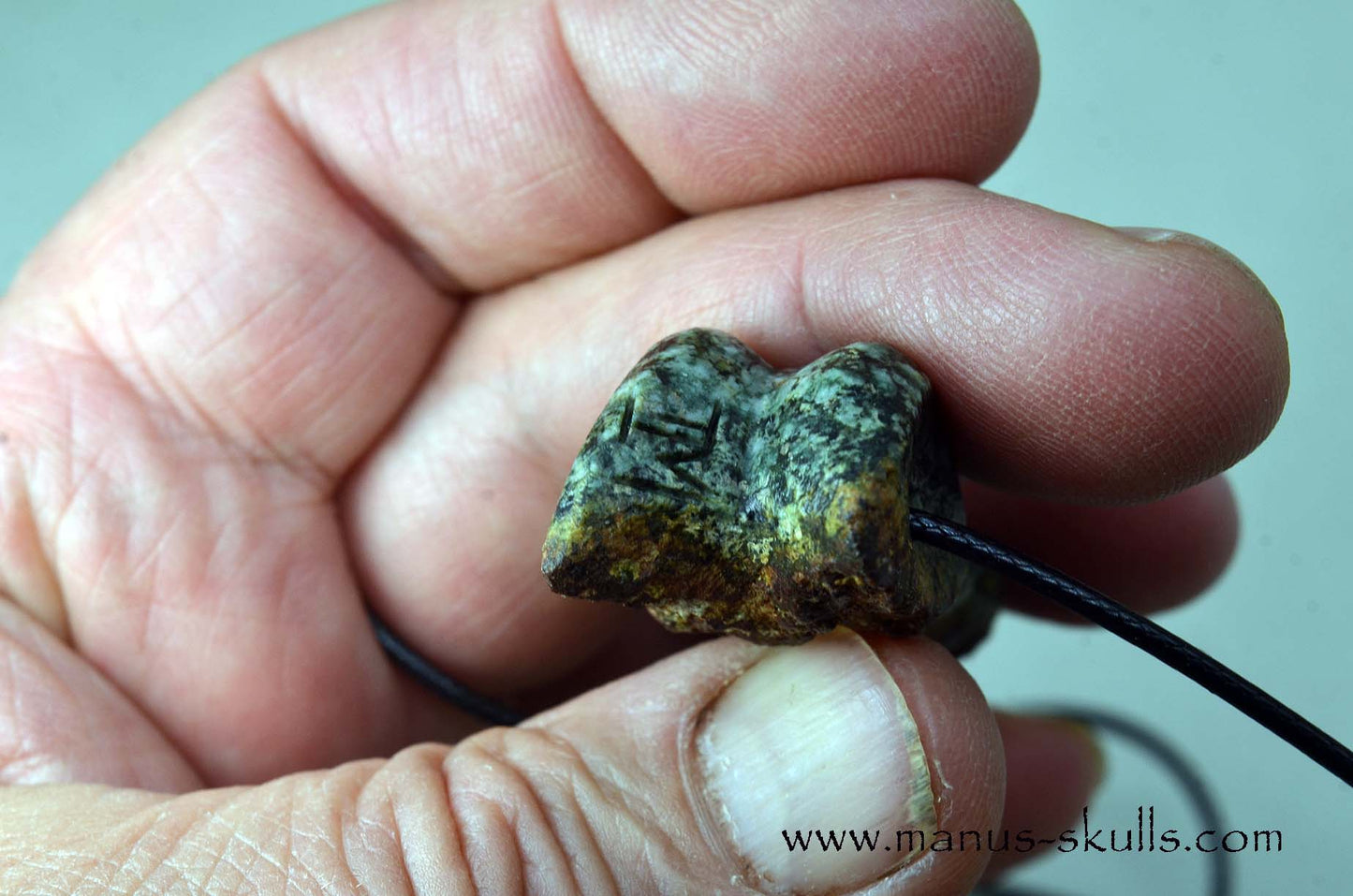 Double headed Preseli Bluestone Pendant