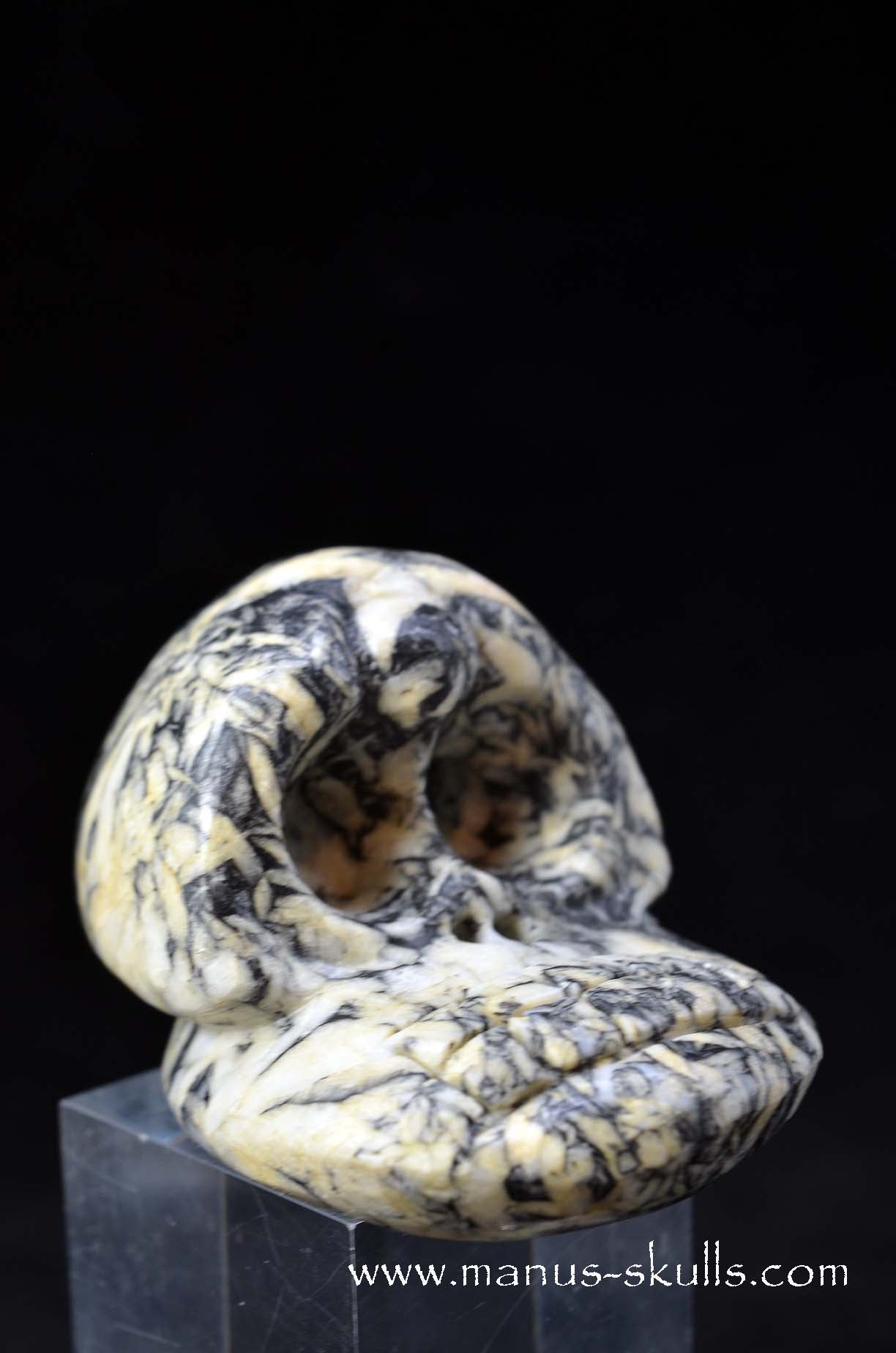 Austrian Pinolith Evolian #07
