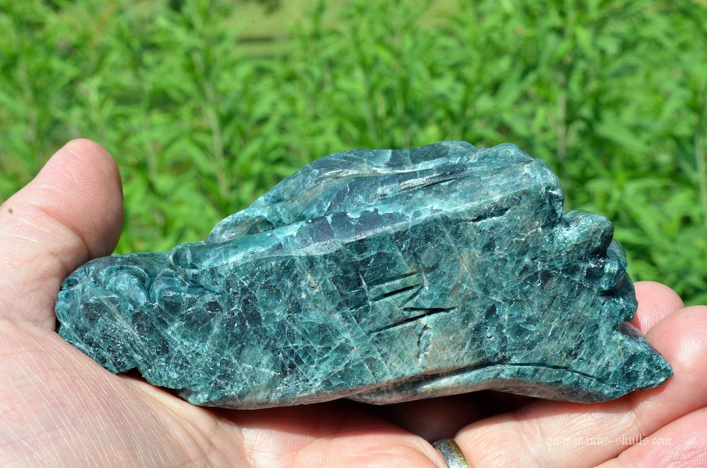 Apatite Dragon