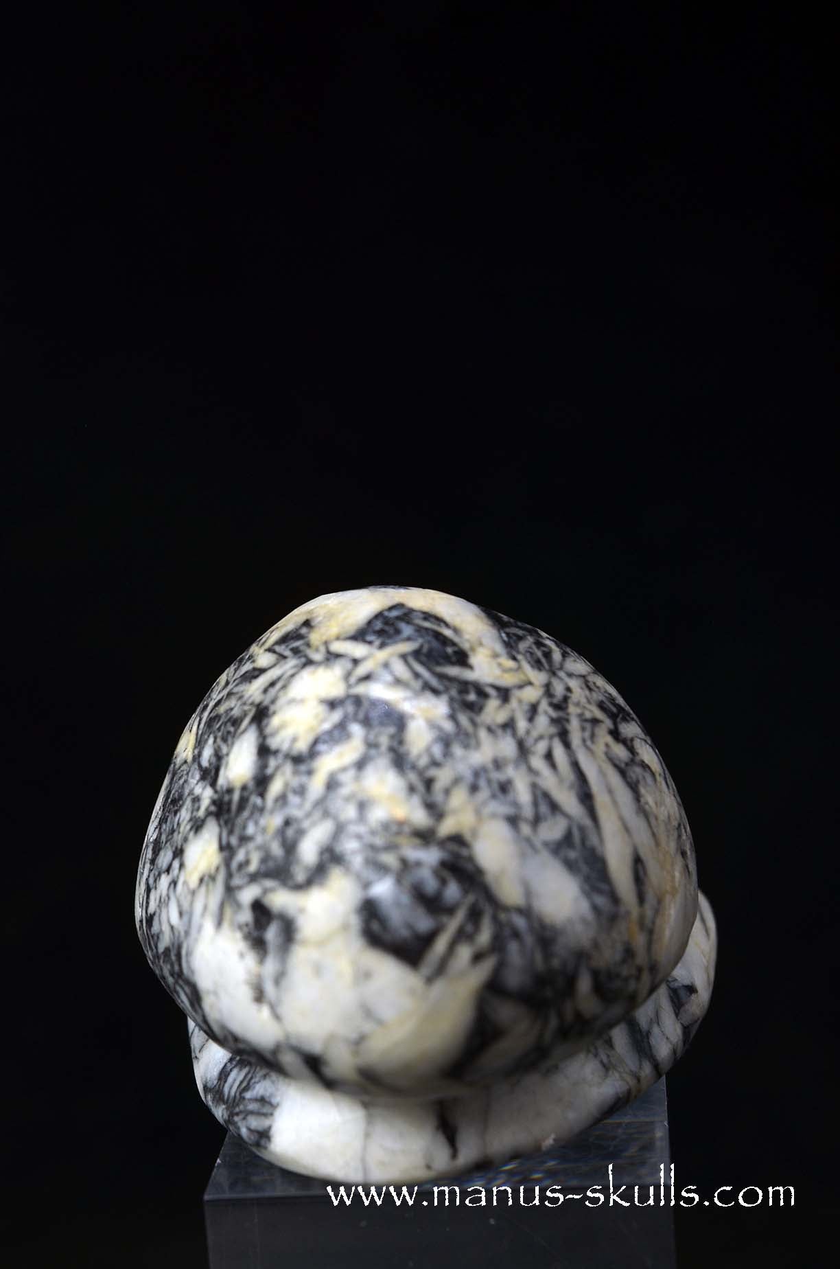 Austrian Pinolith Evolian #07