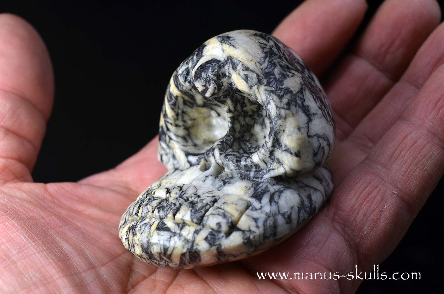 Austrian Pinolith Evolian #07