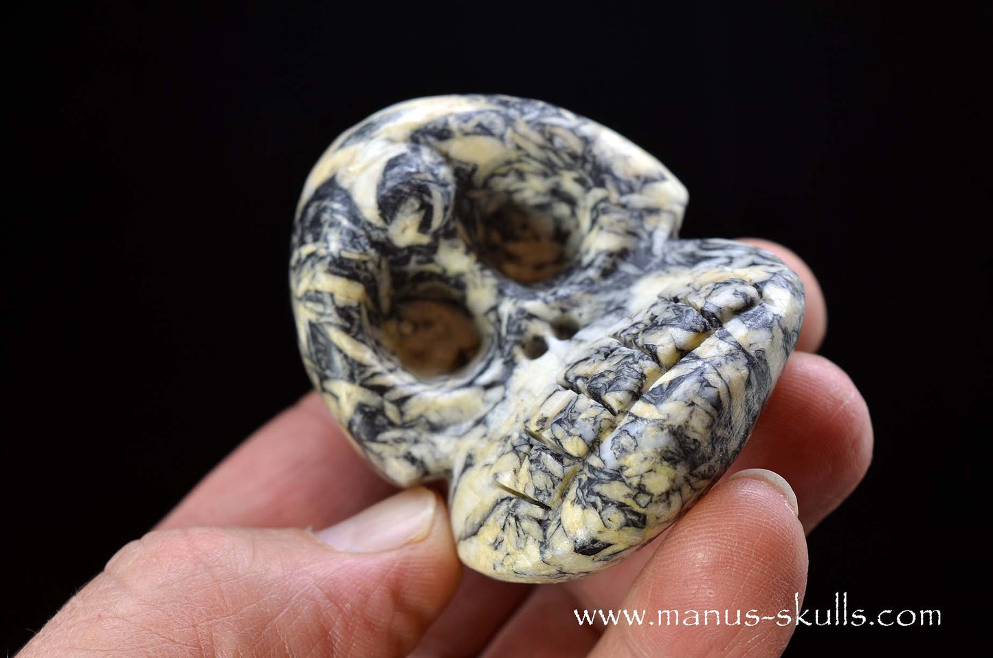 Austrian Pinolith Evolian #07