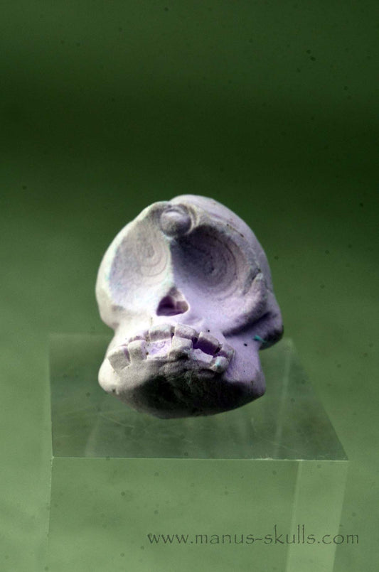 Phosphosiderite Evolian Skull #03
