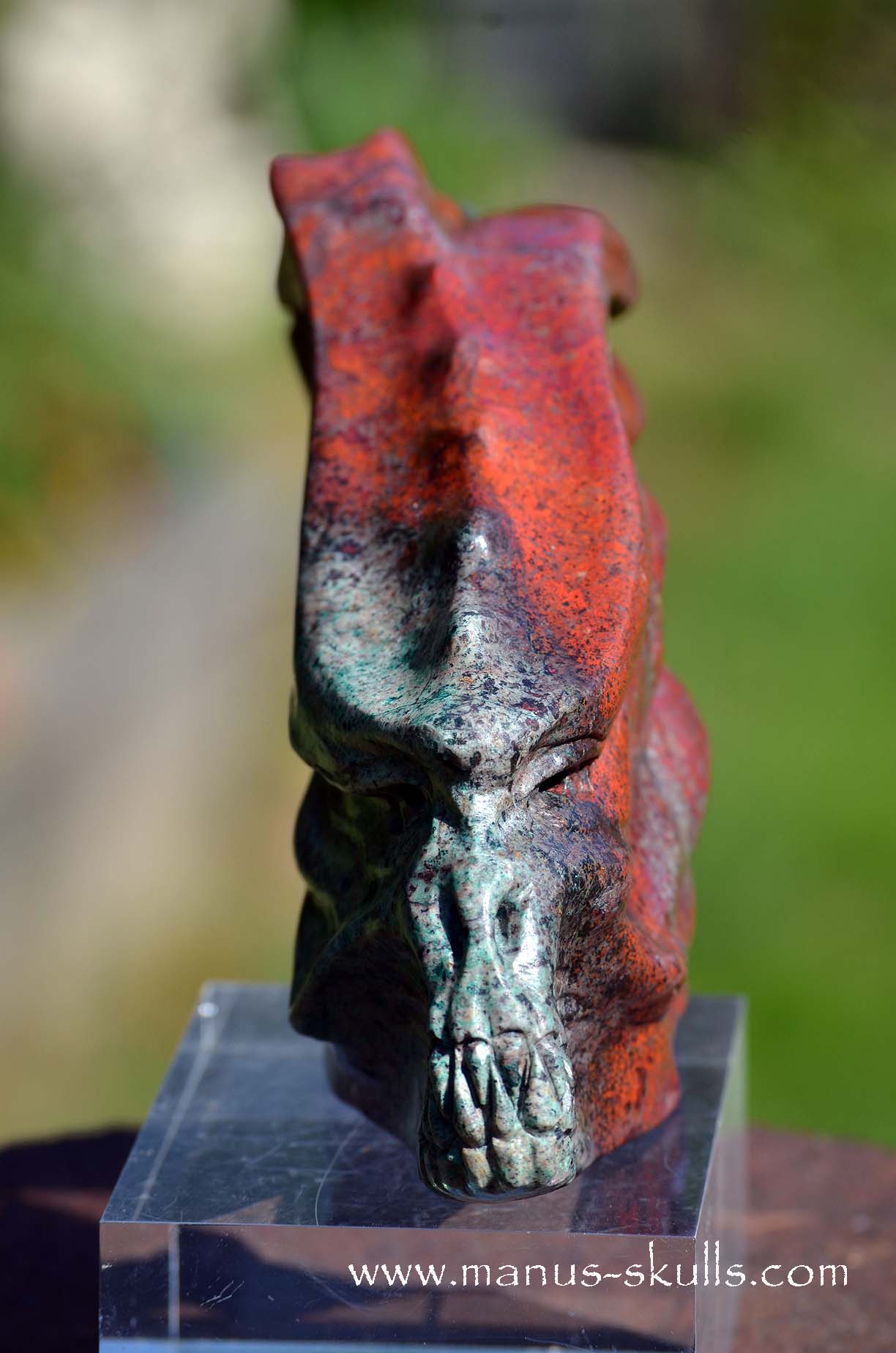 Special! .... Large SONORA SUNRISE Dragon ....