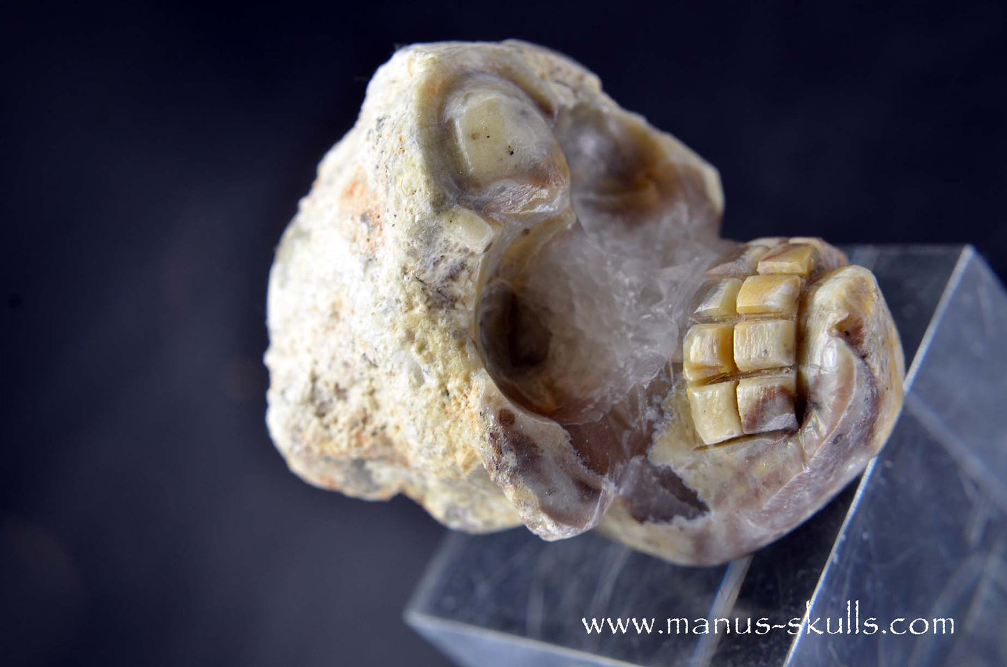 TNT-bed Thunderegg Evolian #02
