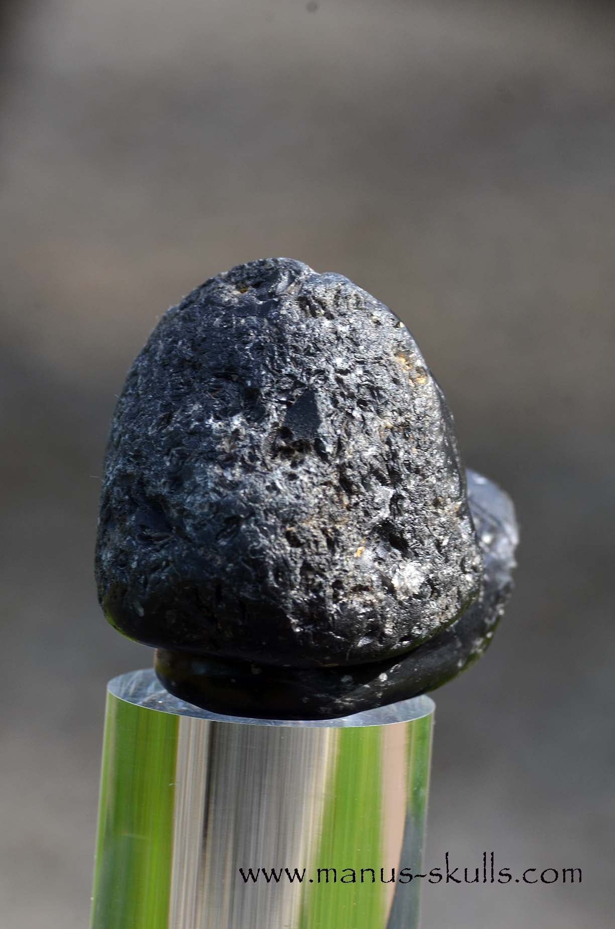 Agni Manitite Evolian #02