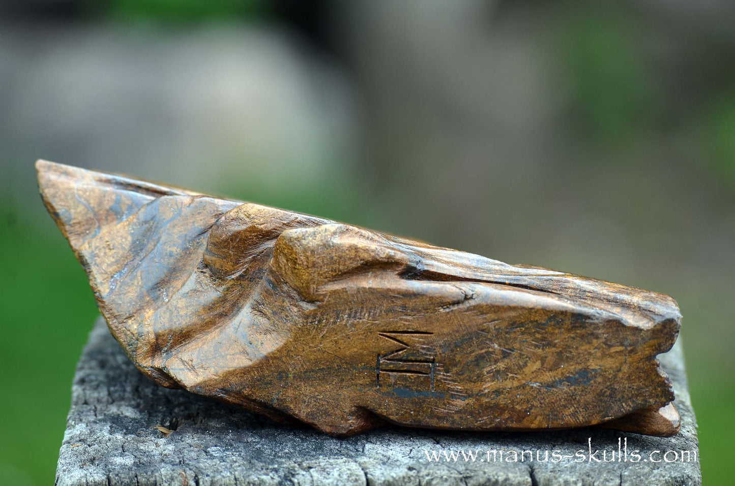 Bronzite Dragon
