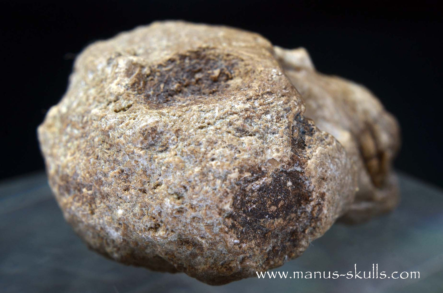 Aragonite Nodul Skull