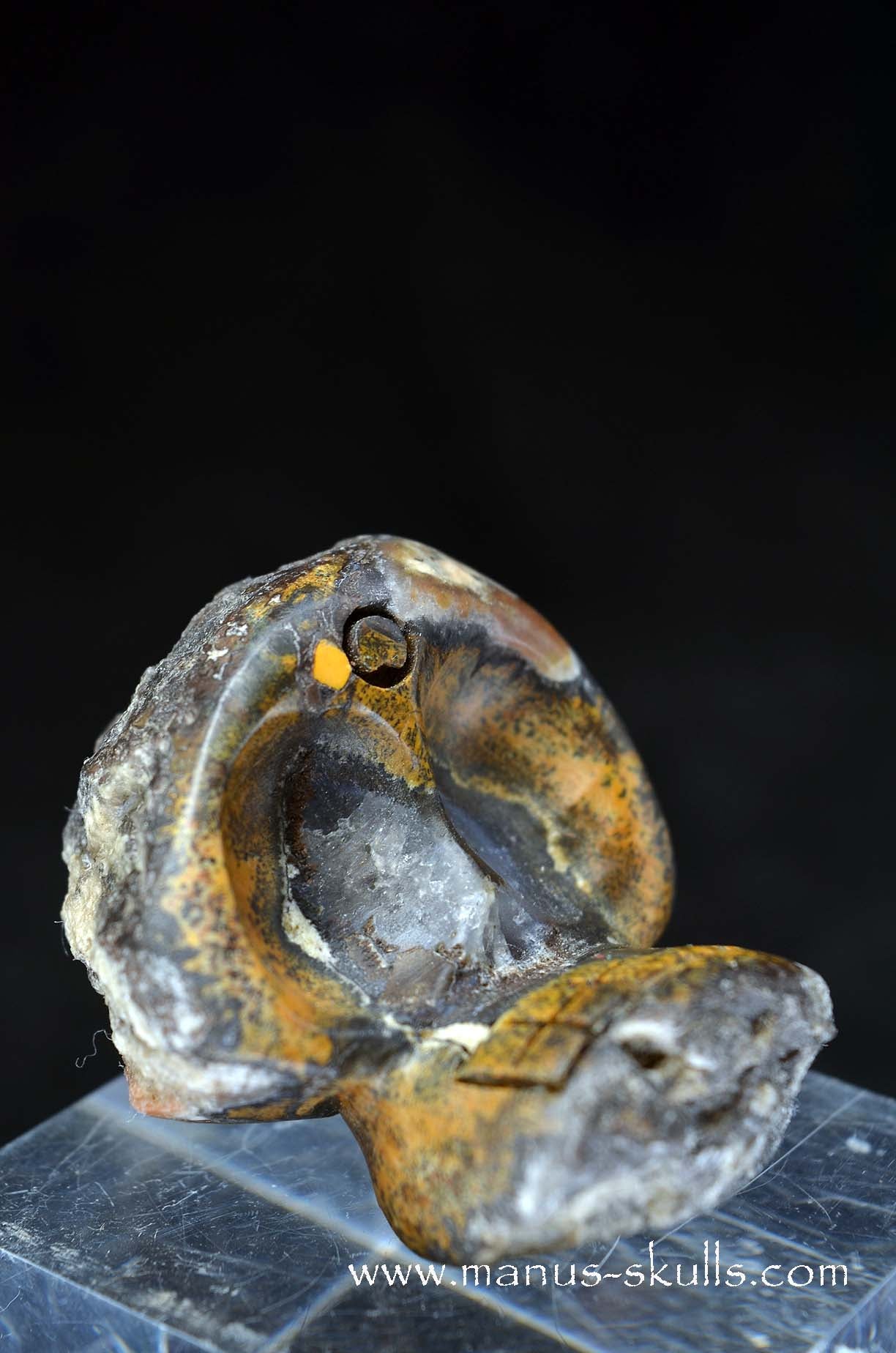 Manus skulls unique Crystal Carvings handmade skulls dragons pendants preseli bluestone tribals spiritual meaning wand Unicorn .. agate geode Evolian