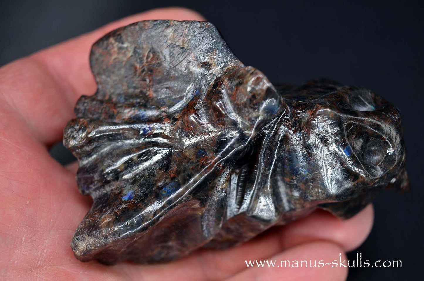 Spectrolite Dragon