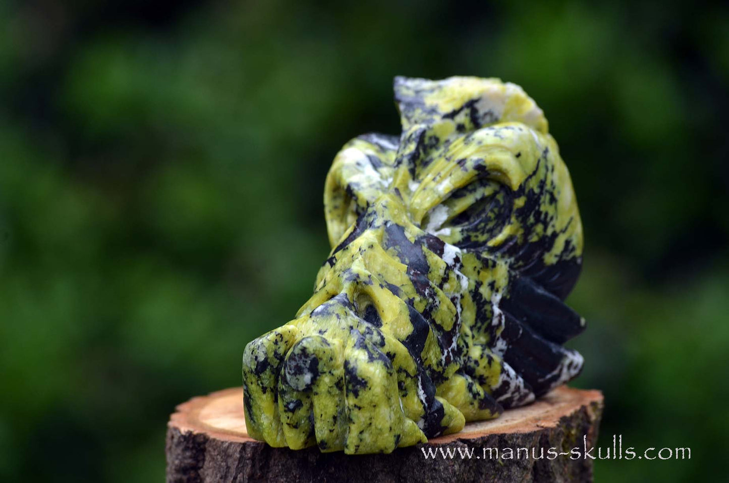 Lizardite Dragon