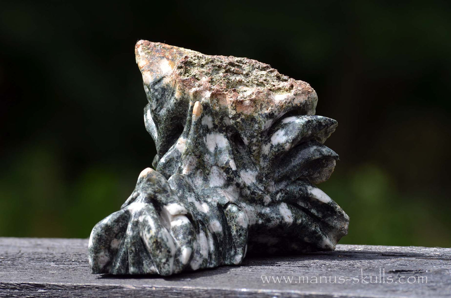 Preseli Bluestone Dragon