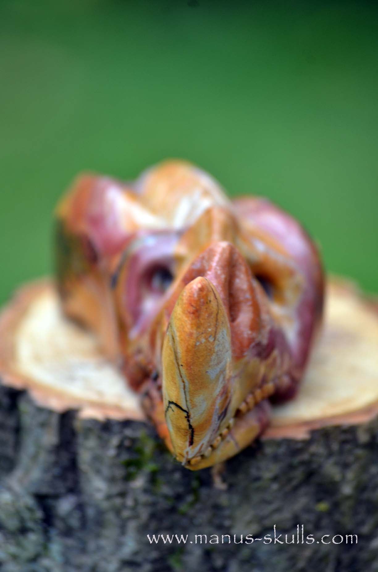 Manus skulls unique Crystal Carvings handmade skulls dragons pendants preseli bluestone tribals spiritual meaning wand Unicorn .. rainbow jasper