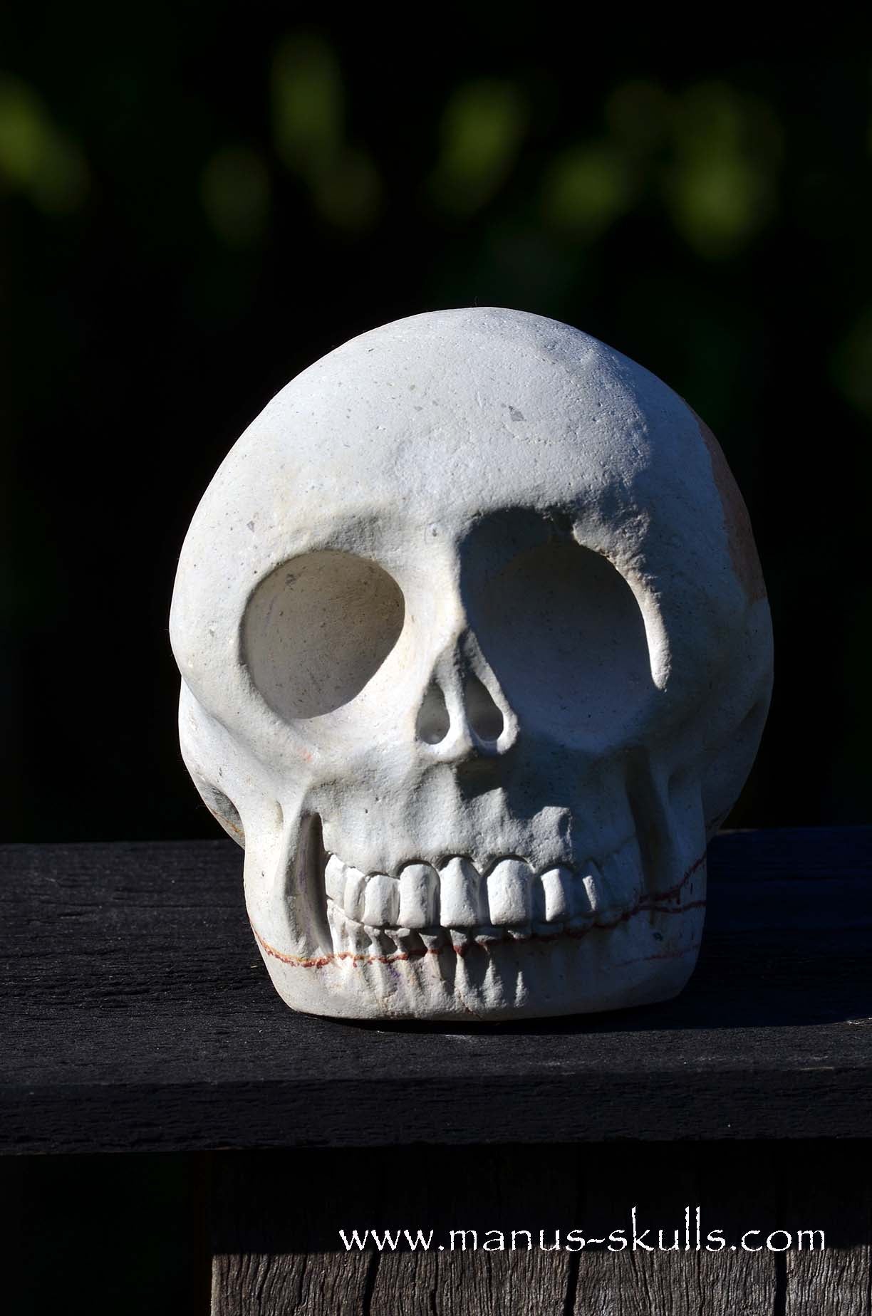 Arizona Sandstone skull