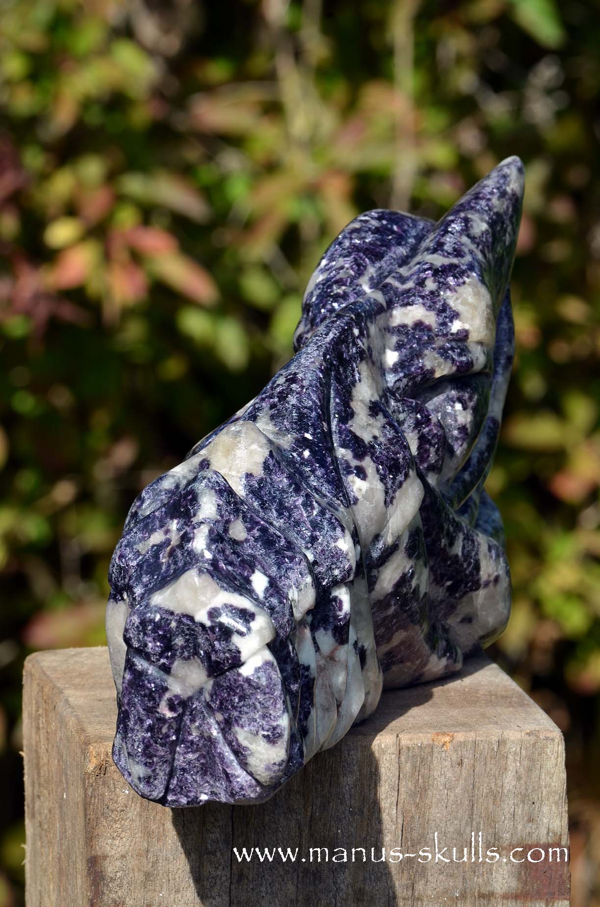 Manus skulls unique Crystal Carvings handmade skulls dragons pendants preseli bluestone tribals spiritual meaning wand Unicorn ..  lepidolite