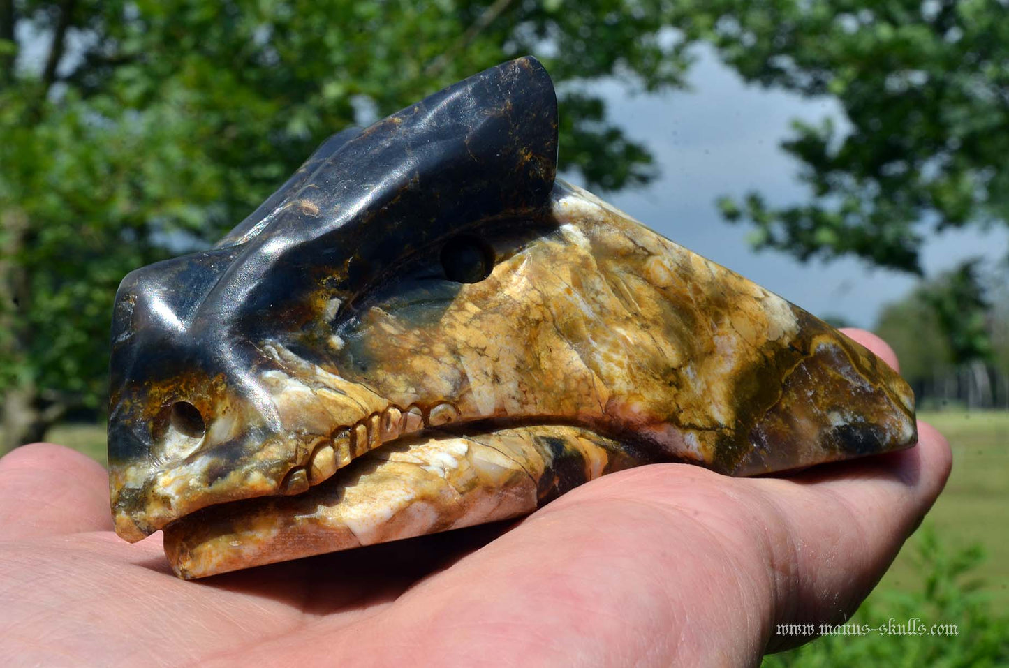 Blue opal with chalcedony Dragon