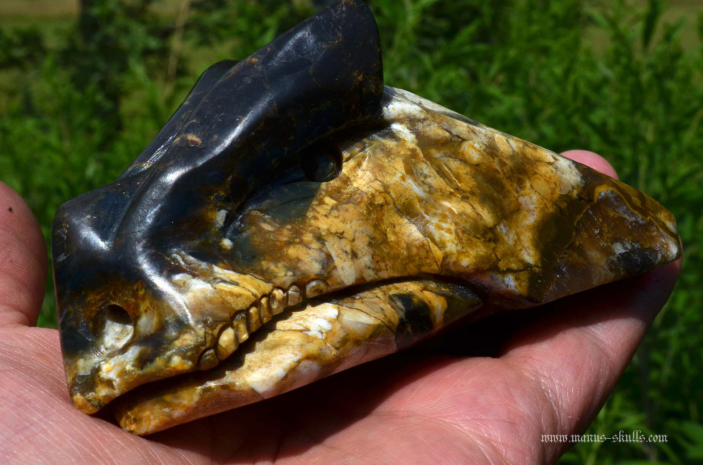 Blue opal with chalcedony Dragon