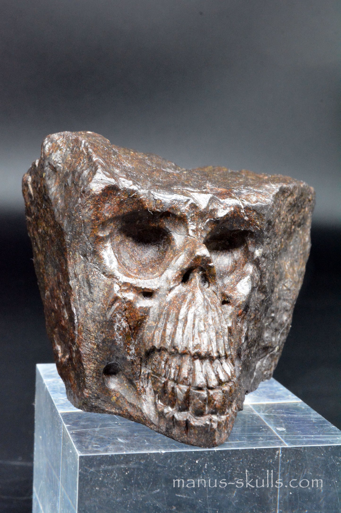 Meteorite Skull