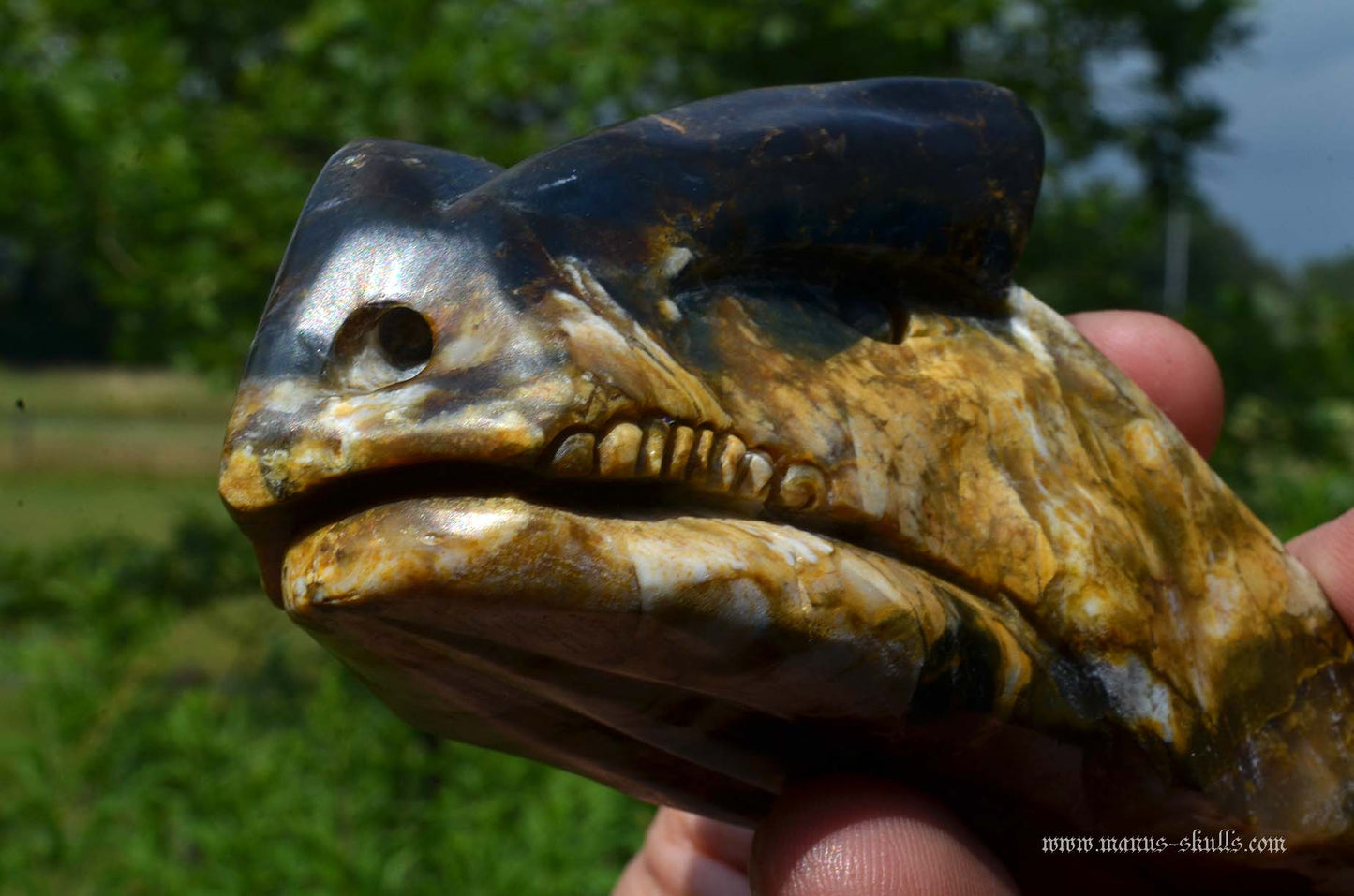 Blue opal with chalcedony Dragon