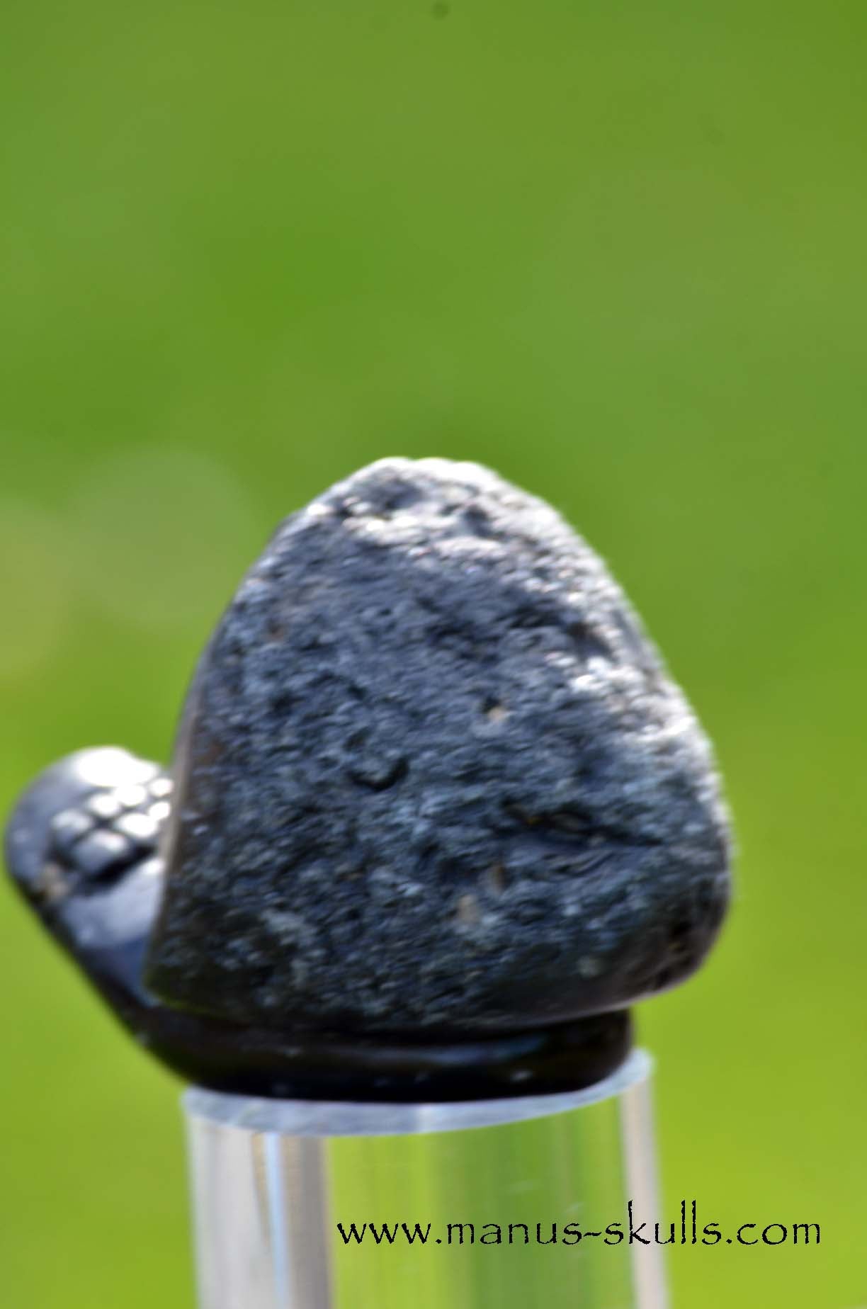 Agni Manitite Evolian #02