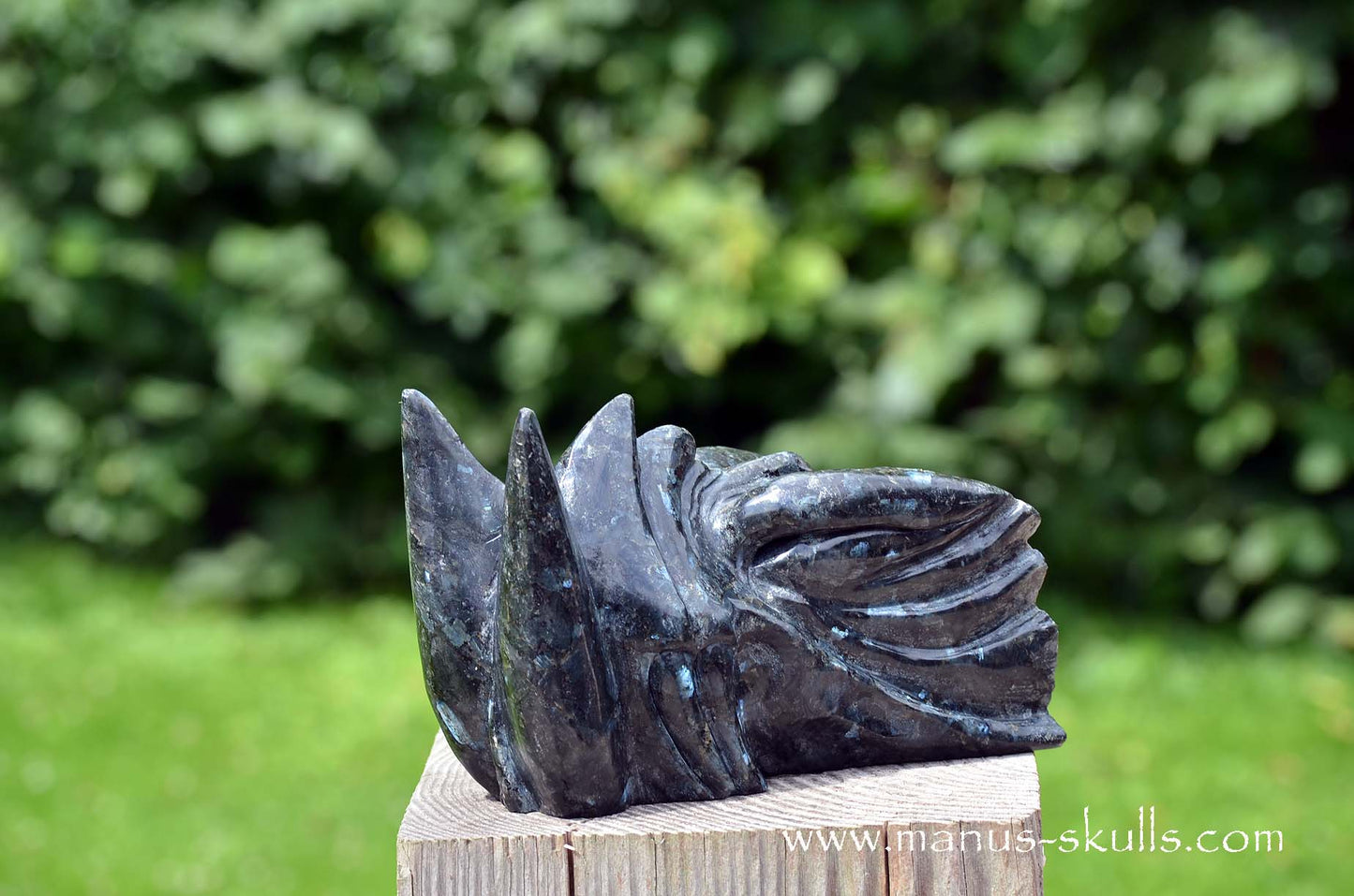 Large Larvikite Dragon