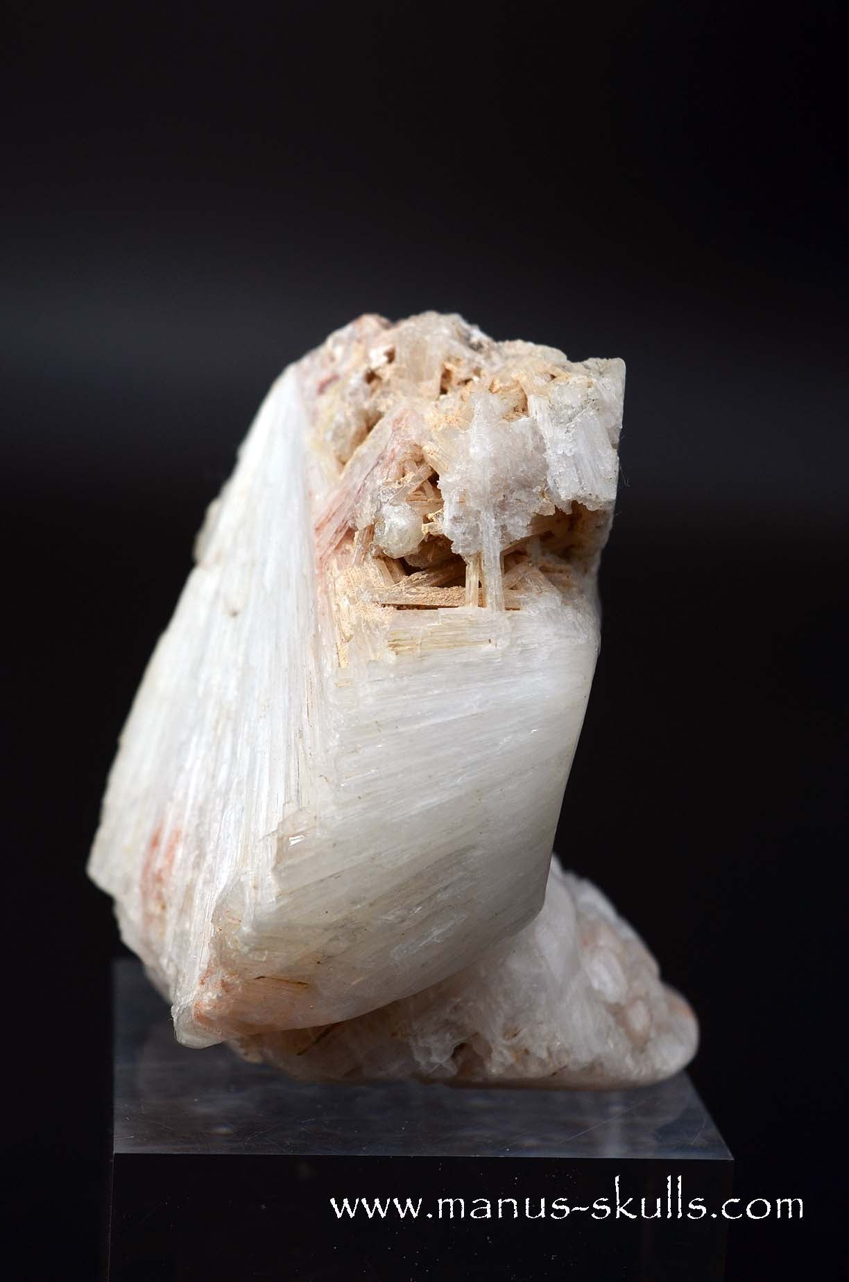 Scolecite Evolian Skull #02